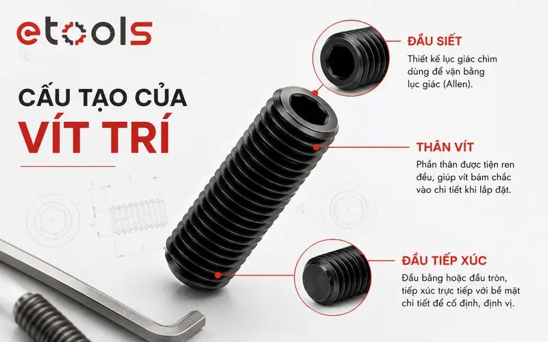 cau-tao-cua-vit-tri